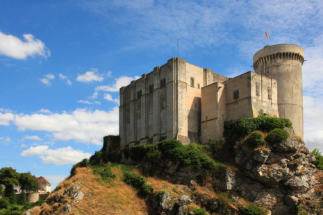 Falaise castle